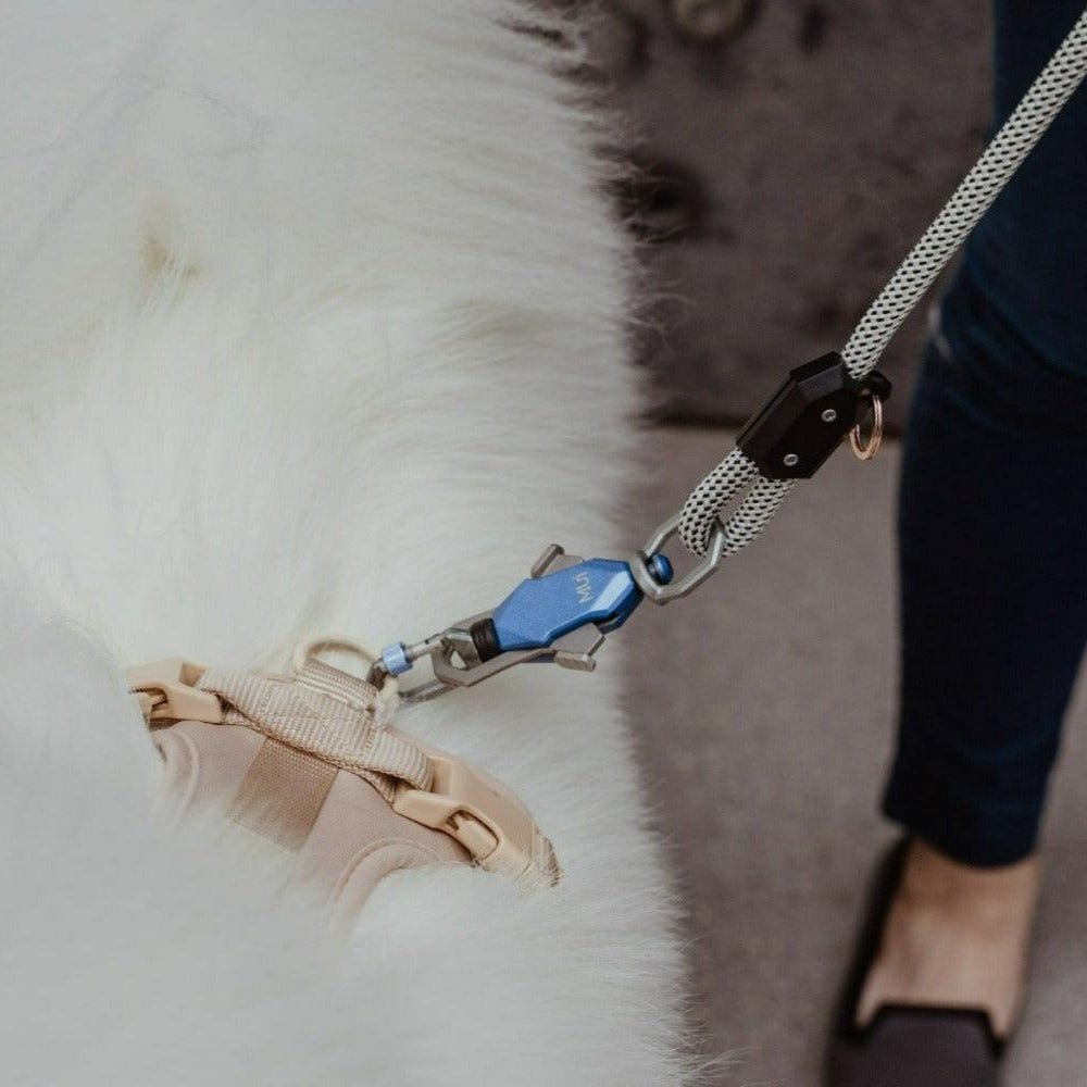 Patented Magnetic Dog Leash - One-Hand Connect & Release Pet Leash - Lazy Paper Club