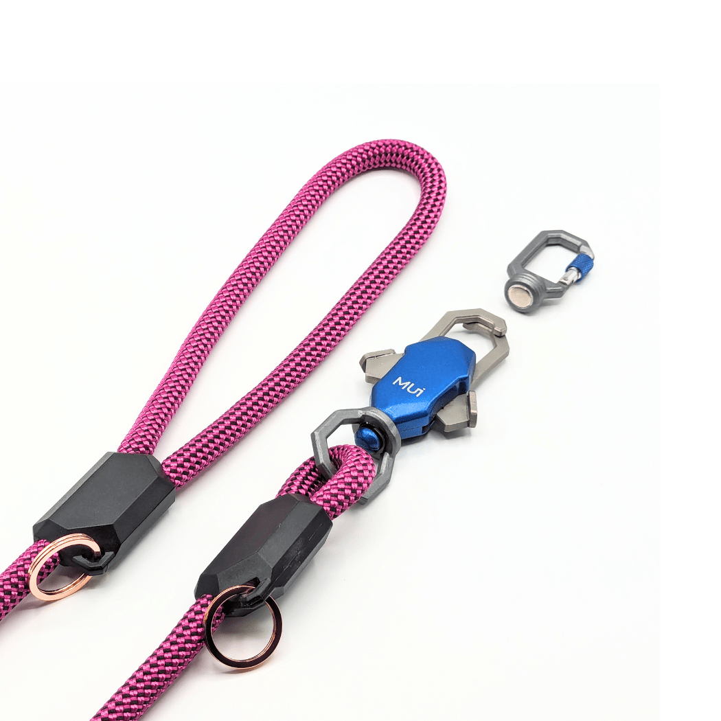 Patented Magnetic Dog Leash - One-Hand Connect & Release Pet Leash - Lazy Paper Club
