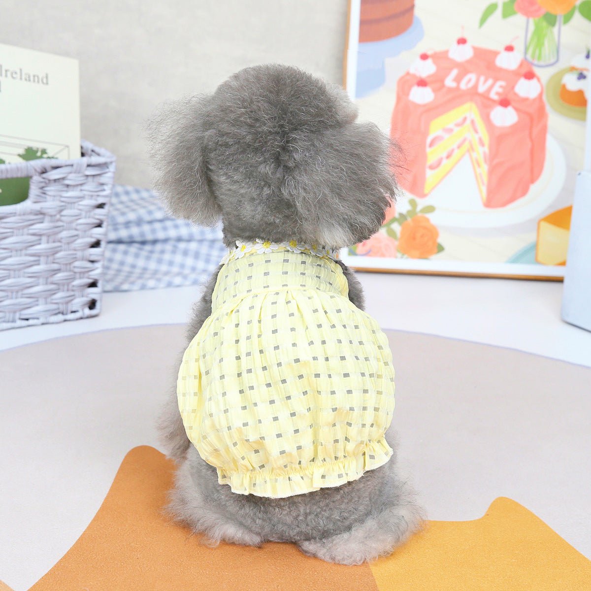 Pet Clothes Spring And Summer Dog Clothes Small Dog Clothes Pet - Lazy Paper Club