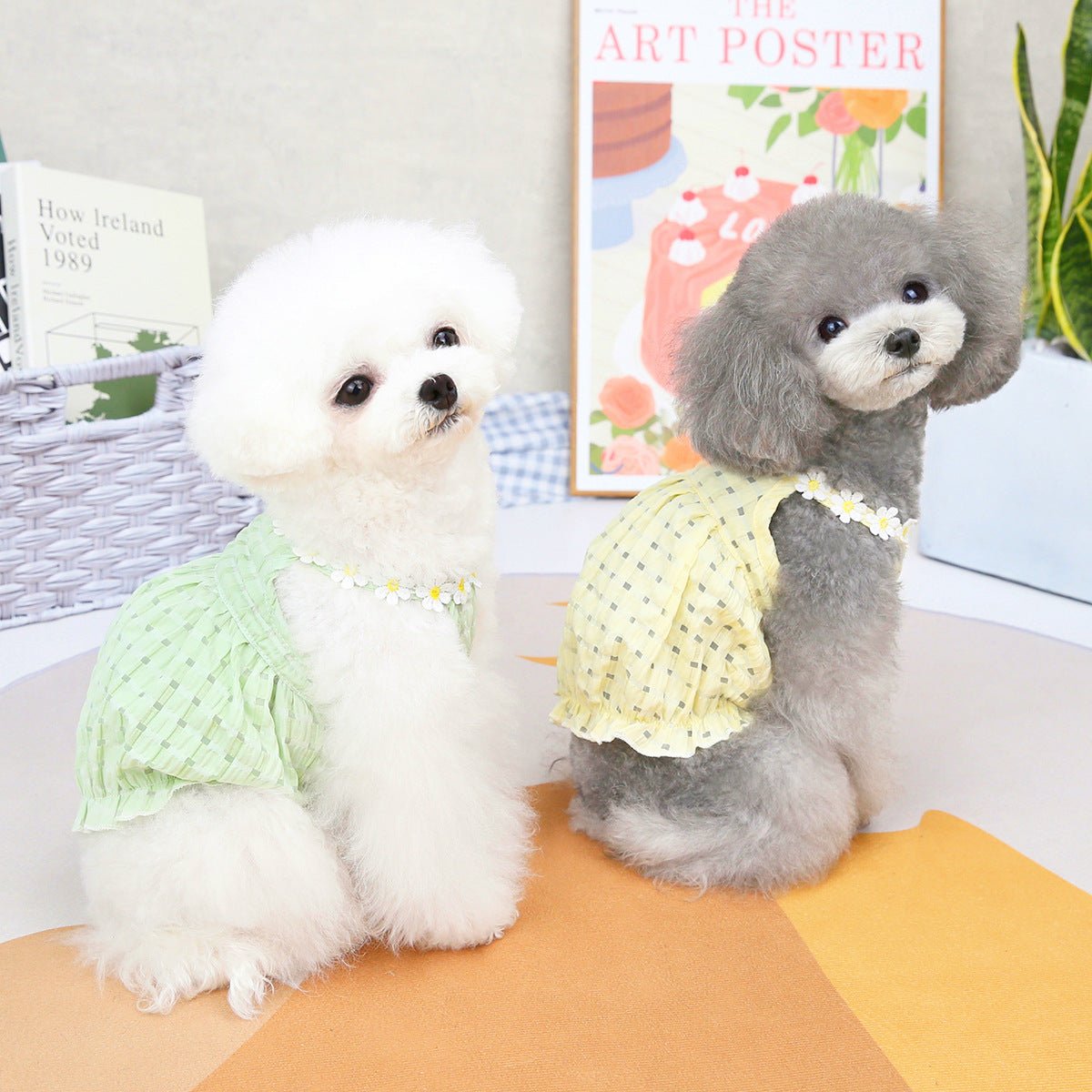 Pet Clothes Spring And Summer Dog Clothes Small Dog Clothes Pet - Lazy Paper Club