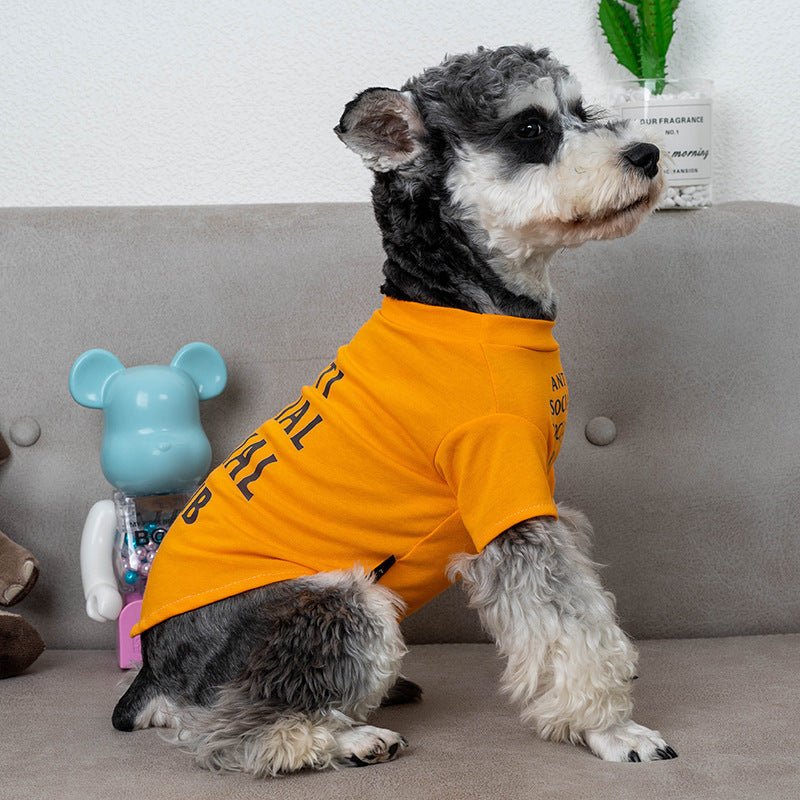 Pet Clothes Trendy Brand Dog Clothes Summer 0 - Lazy Paper Club