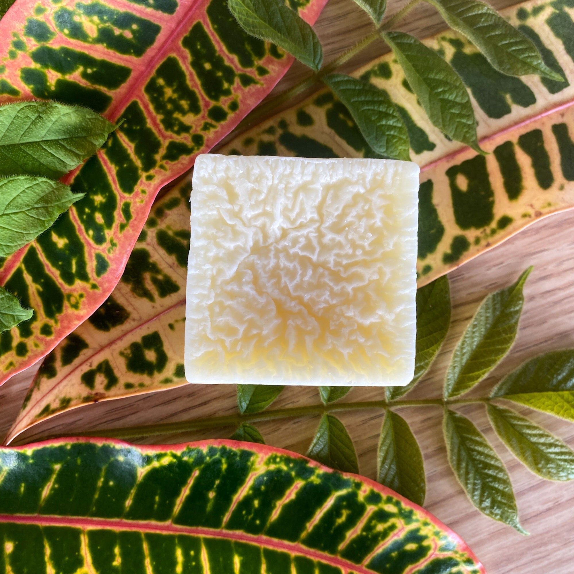 Pet Conditioner Bar for Dogs or Cats, Unscented/Fragrance Free - #Lazy Paper Club#
