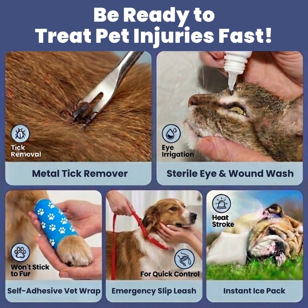Pet First Aid Kit for Dogs & Cats with Vet-Approved Essentials Pet First Aid Kits - Lazy Paper Club