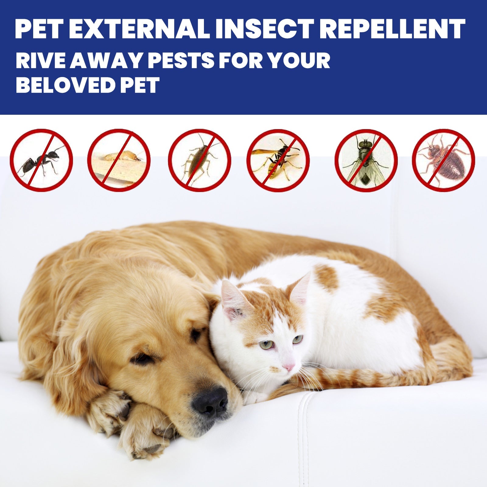 Pet Flea Spray, Cat And Dog Pet Skin Cleansing External Lice Tick Anti-Itch Spray - Lazy Paper Club