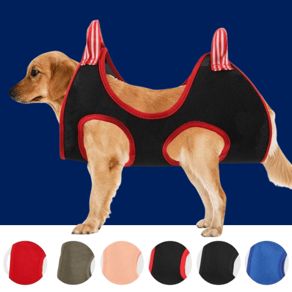 Pet Grooming Hammock for Dogs and Cats - Lazy Paper Club