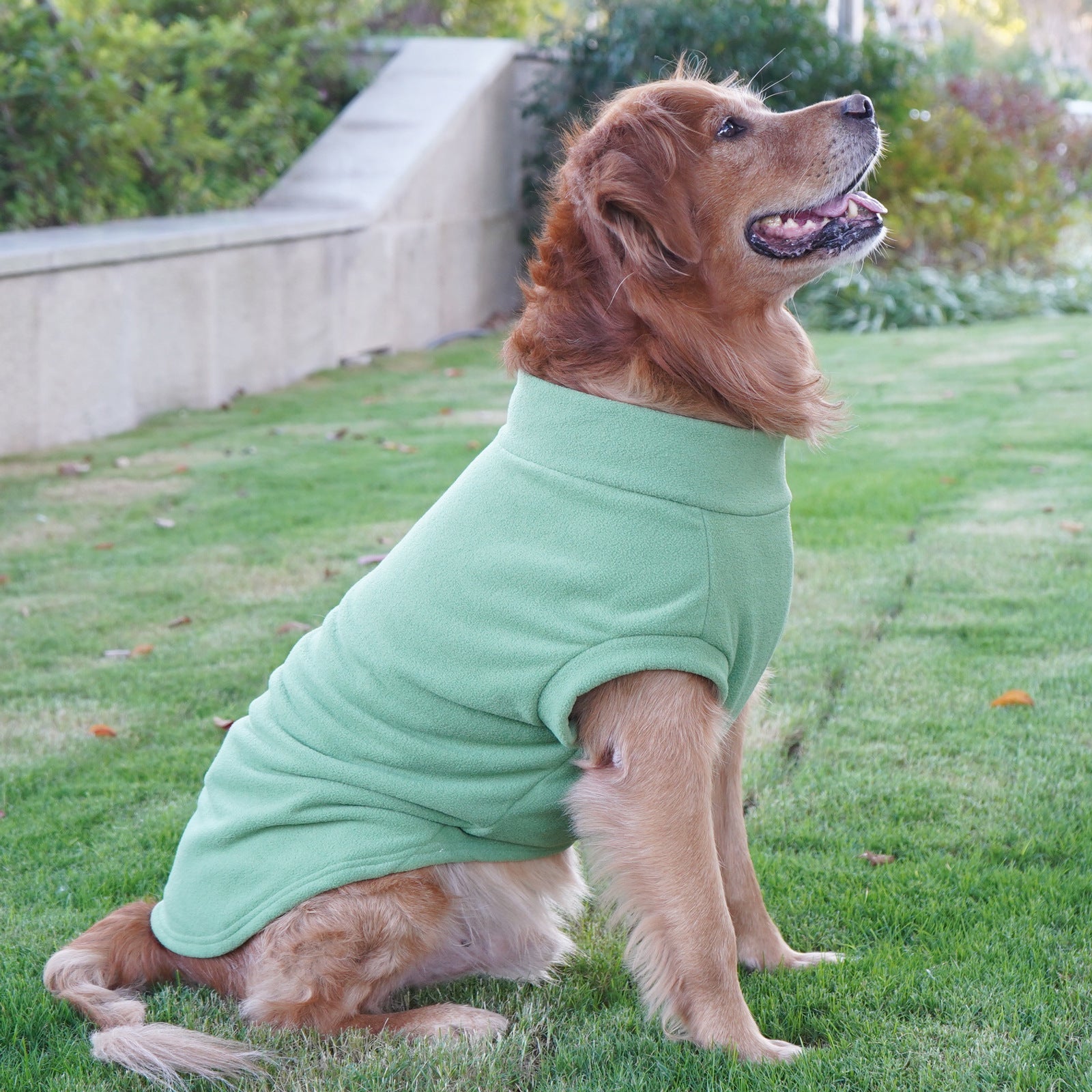 Pet Labrador Golden Retriever Dog Clothes Large Breed Winter Warm Pet Clothes European and American Cross-border Wholesale - Lazy Paper Club