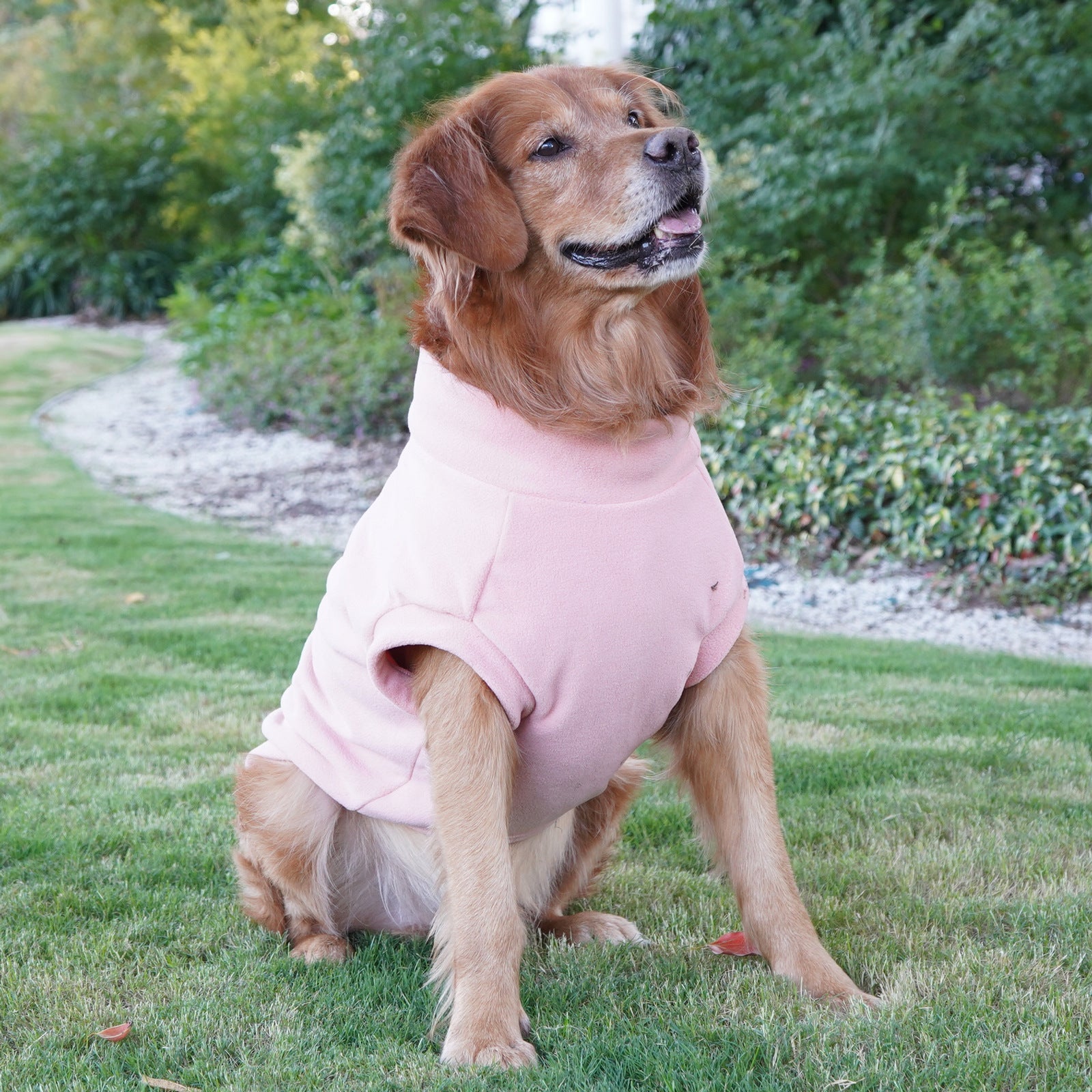 Pet Labrador Golden Retriever Dog Clothes Large Breed Winter Warm Pet Clothes European and American Cross-border Wholesale - Lazy Paper Club
