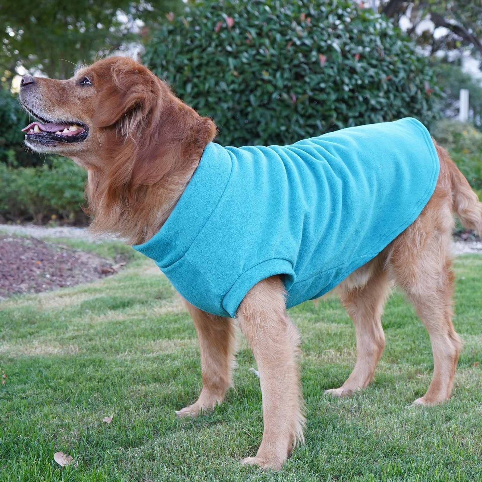 Pet Labrador Golden Retriever Dog Clothes Large Breed Winter Warm Pet Clothes European and American Cross-border Wholesale - Lazy Paper Club