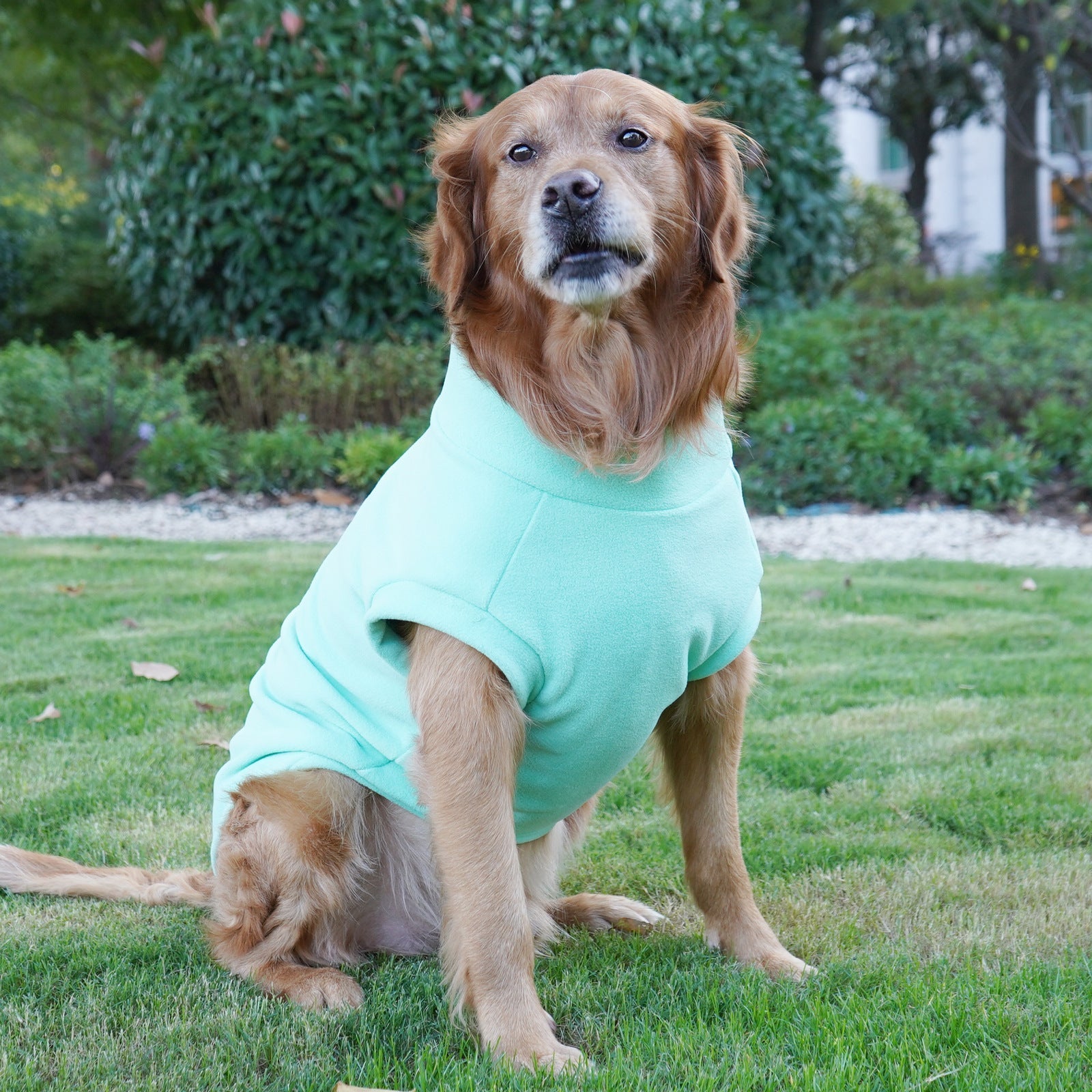 Pet Labrador Golden Retriever Dog Clothes Large Breed Winter Warm Pet Clothes European and American Cross-border Wholesale - Lazy Paper Club
