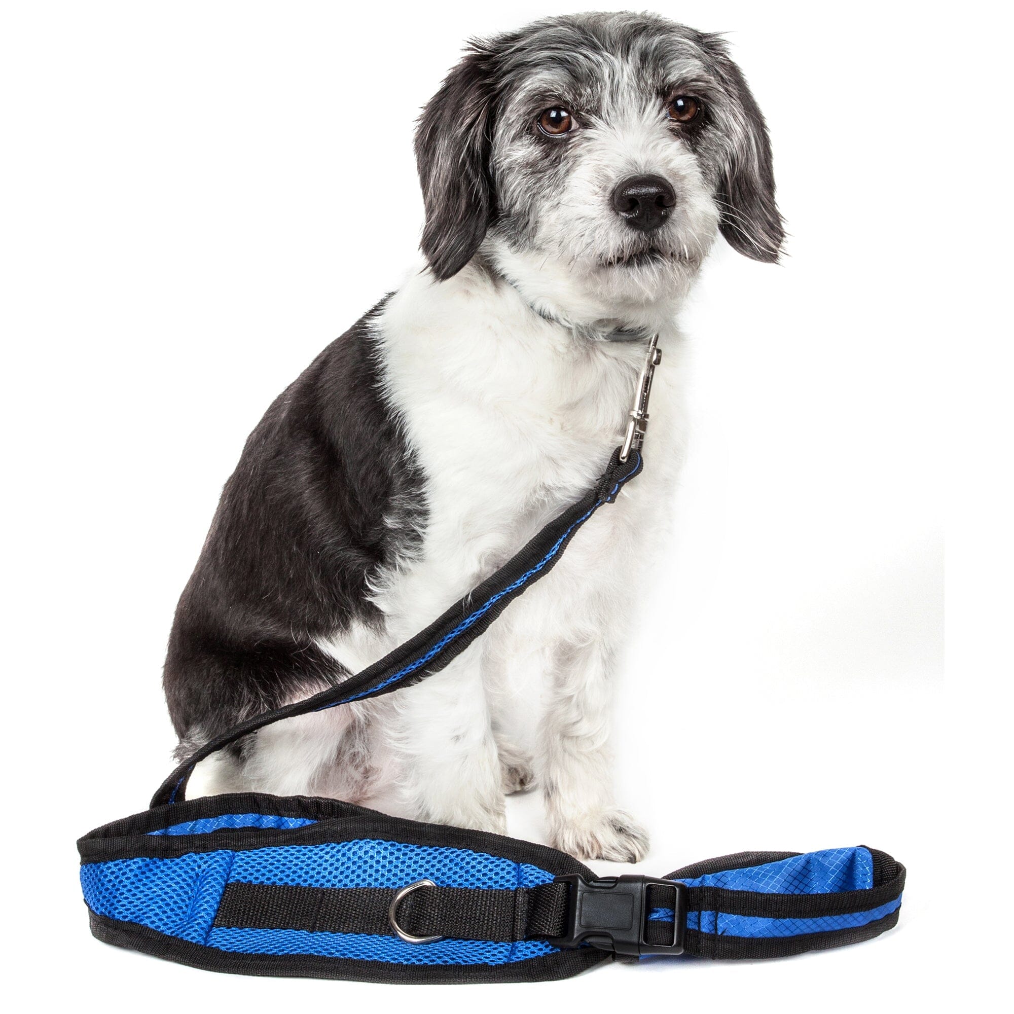Pet Life ® 'Echelon' Hands Free and Convertible 2-In-1 Training Pet Dog Leash and Pet Belt Trainer Collars, Harnesses and Leashes - Lazy Paper Club