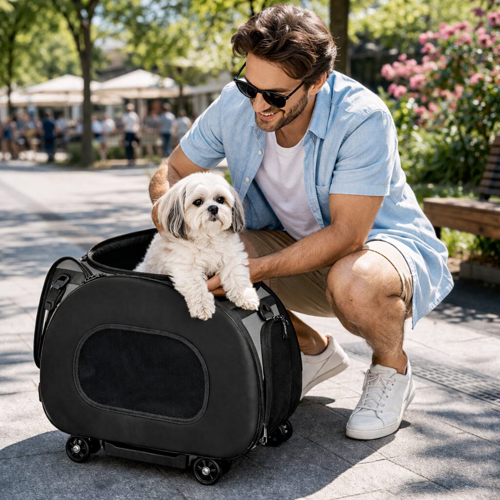 Pet Life ® 'Final Destination' Airline Approved 2-in-1 Tough-Shell Wheeled Collapsible Travel Fashion Pet Dog Carrier Crate Pet Carriers - Lazy Paper Club