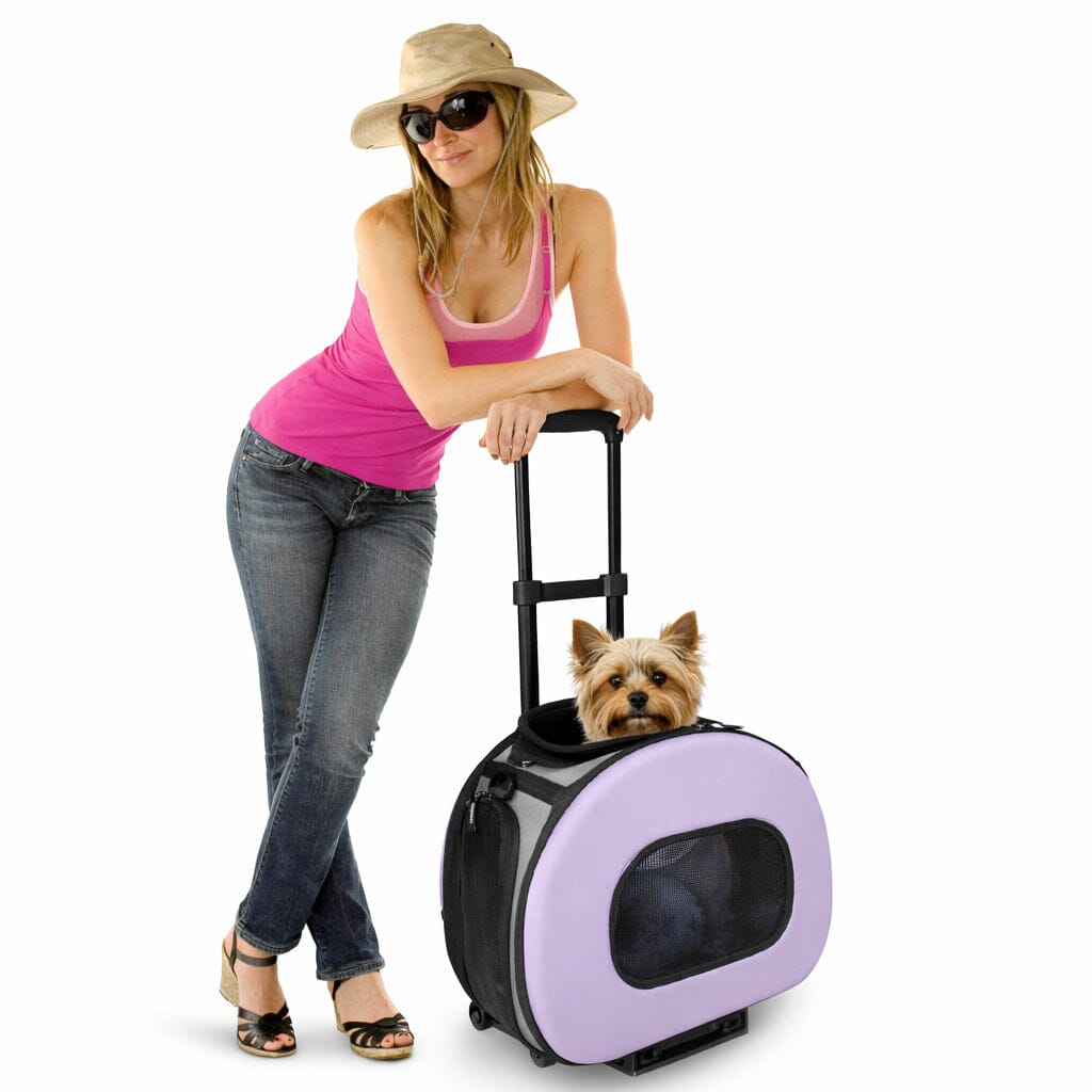 Pet Life ® 'Final Destination' Airline Approved 2-in-1 Tough-Shell Wheeled Collapsible Travel Fashion Pet Dog Carrier Crate Pet Carriers - Lazy Paper Club