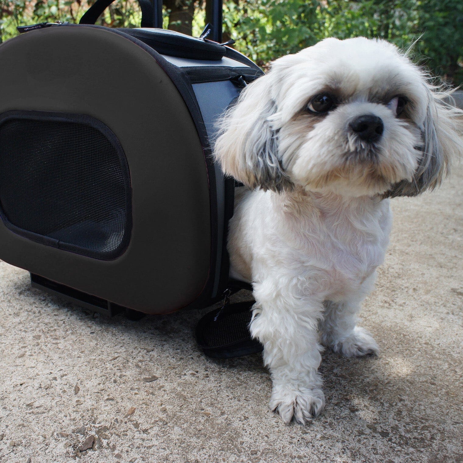 Pet Life ® 'Final Destination' Airline Approved 2-in-1 Tough-Shell Wheeled Collapsible Travel Fashion Pet Dog Carrier Crate Pet Carriers - Lazy Paper Club