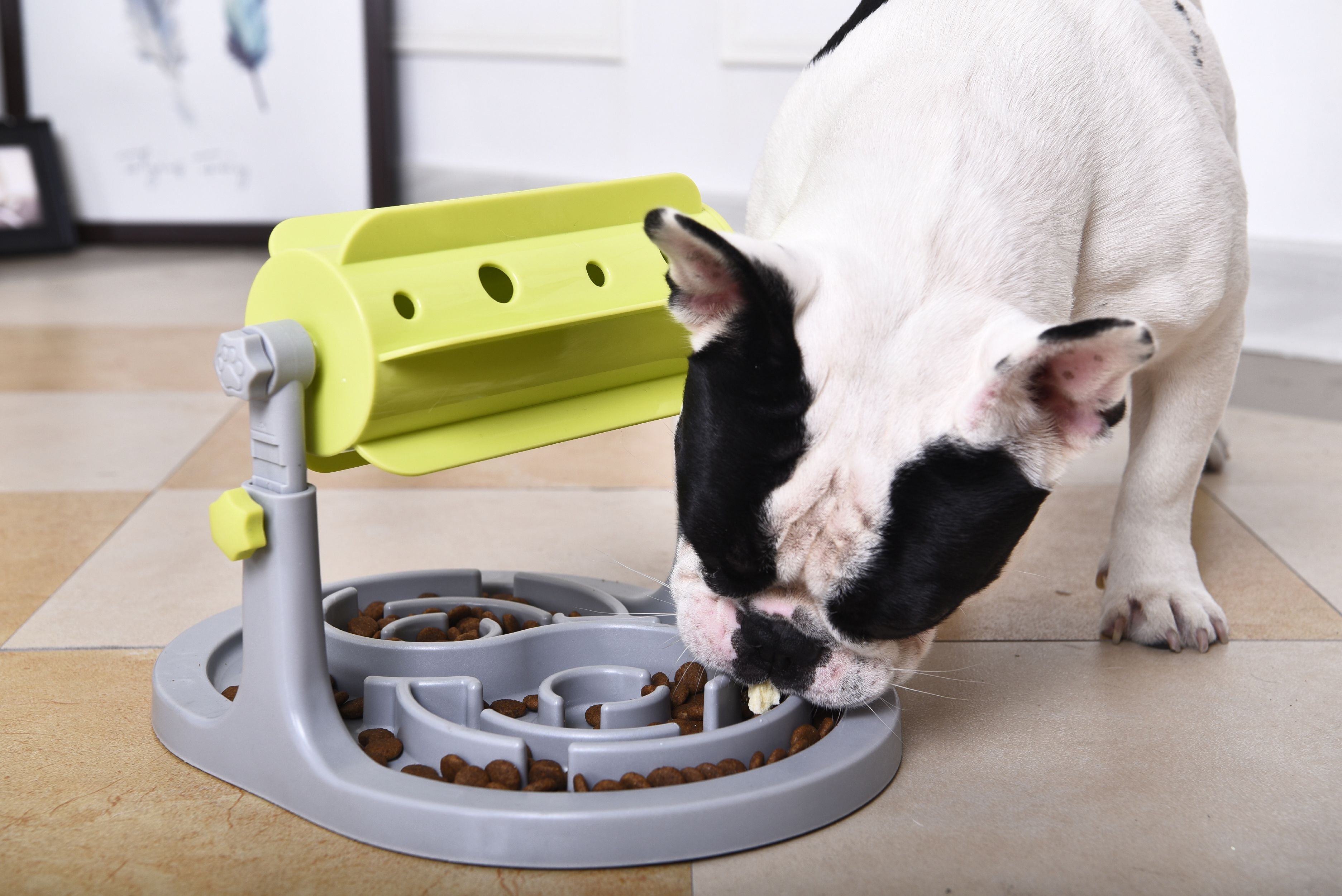 Pet Life ® 'Roto Paw' IQ Training Interactive Rotating Slow Dog Feeder Dog Toys - Lazy Paper Club