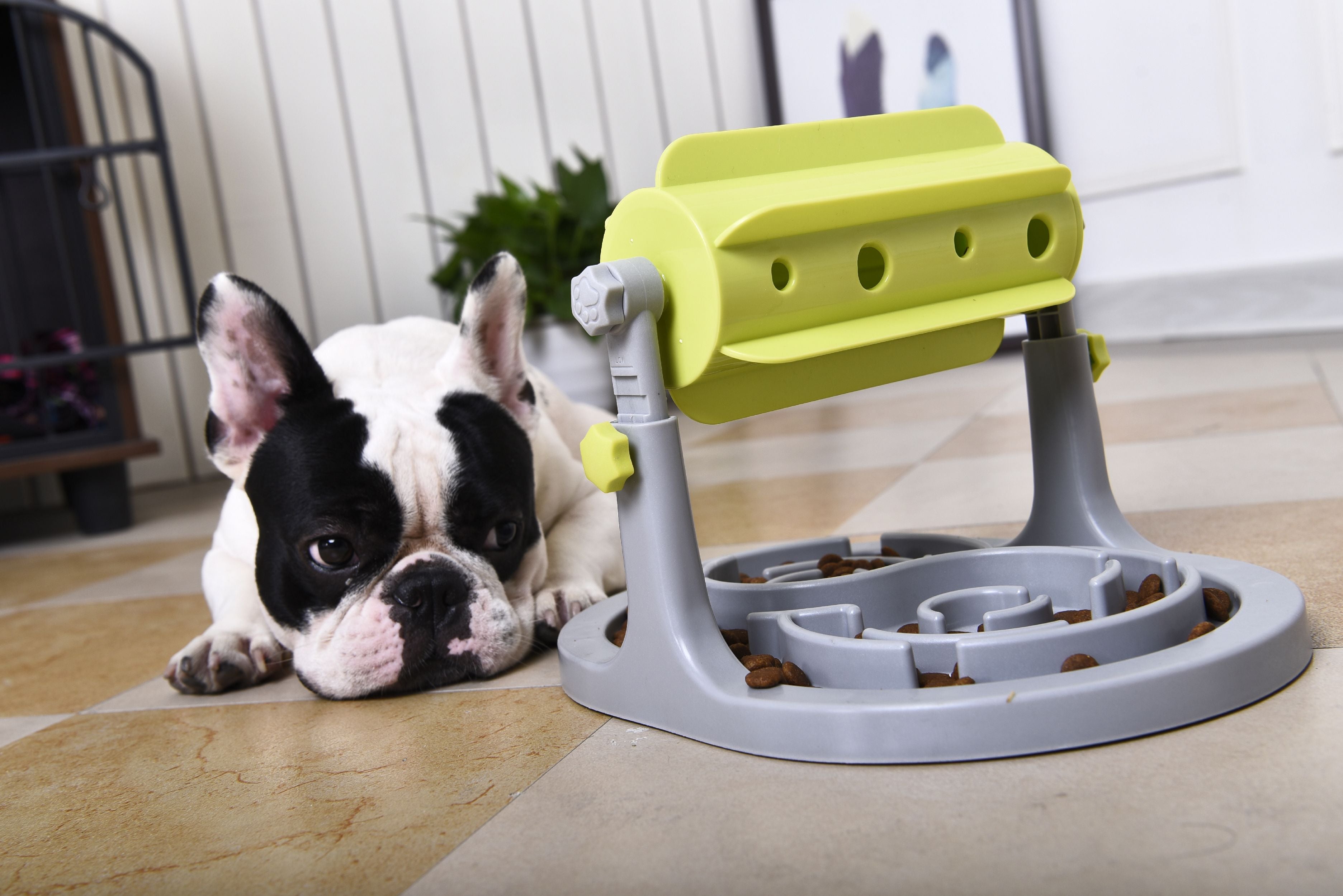 Pet Life ® 'Roto Paw' IQ Training Interactive Rotating Slow Dog Feeder Dog Toys - Lazy Paper Club