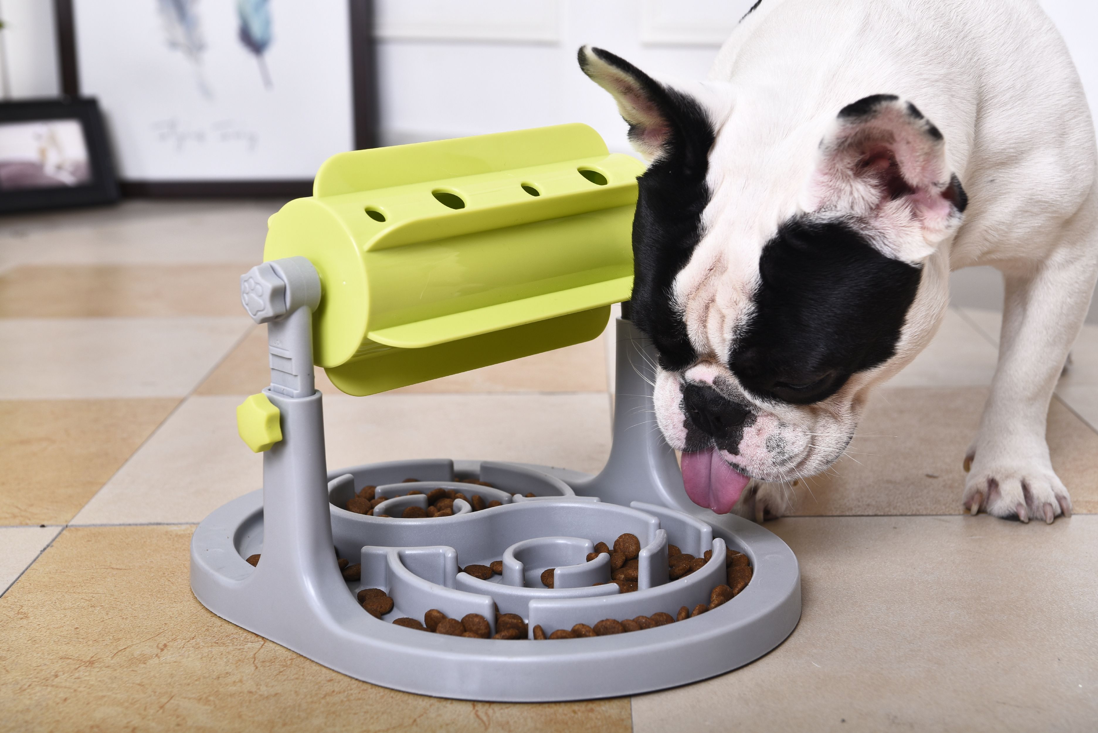 Pet Life ® 'Roto Paw' IQ Training Interactive Rotating Slow Dog Feeder Dog Toys - Lazy Paper Club
