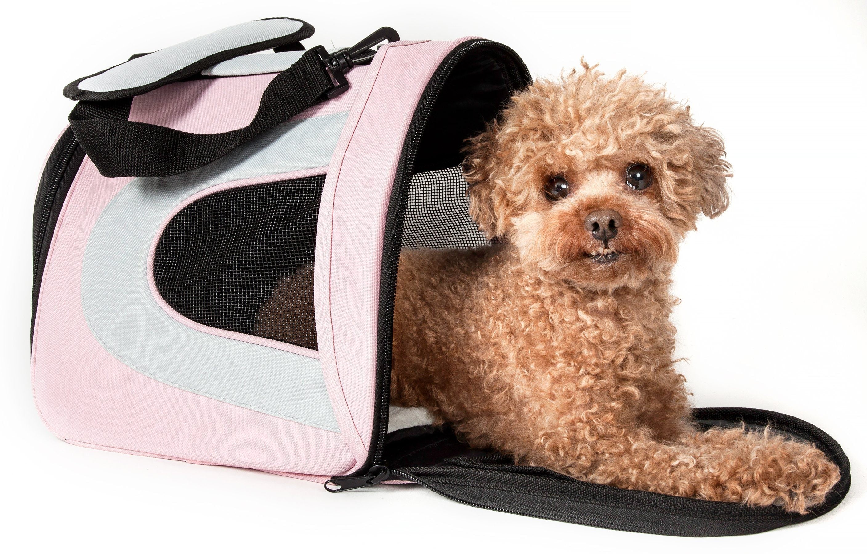Pet Life ® Sporty Mesh Airline Approved Zippered Folding Collapsible Travel Pet Dog Carrier Pet Carriers - Lazy Paper Club