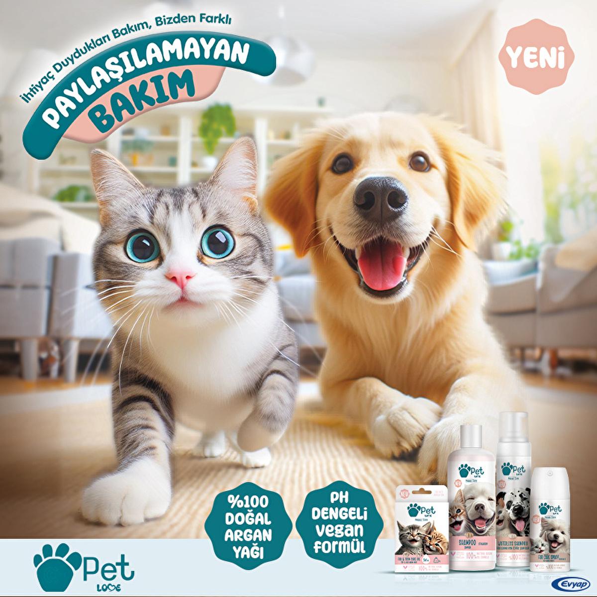 Pet Love Argan Oil Shampoo for Cats and Dogs - Natural, Gentle, and Effective Pet Care Shampoo - Lazy Paper Club