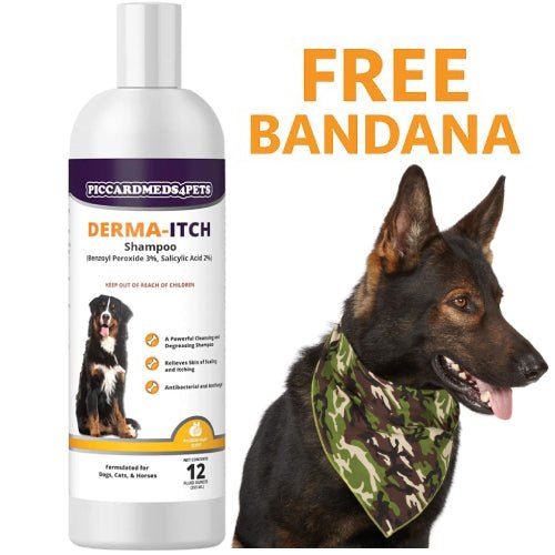 Piccardmeds4pets Derma-Itch Shampoo for Dogs 12 oz. + FREE Camo Bandana! Pet Supplies > Dog Supplies > Grooming > Shampooing & Washing - Lazy Paper Club