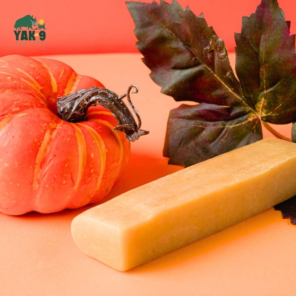 Pumpkin Yak Chews for Dogs PUMPKIN YAK CHEWS - Lazy Paper Club
