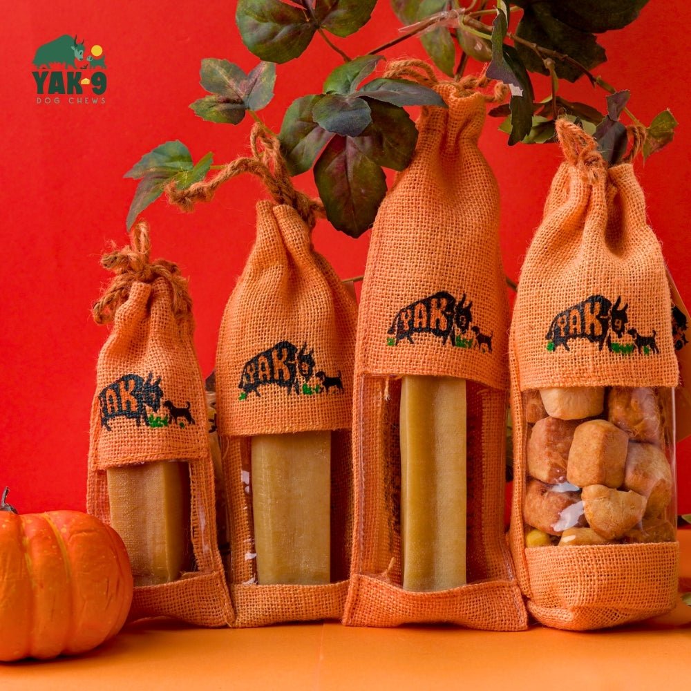 Pumpkin Yak Chews for Dogs PUMPKIN YAK CHEWS - Lazy Paper Club