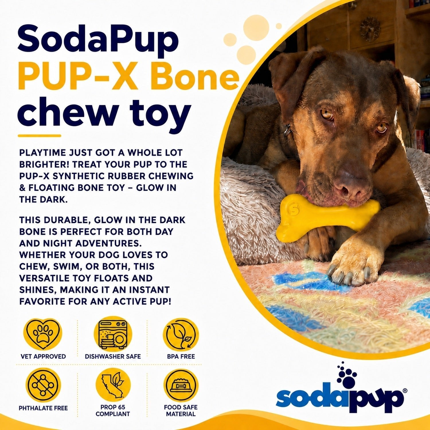 PUP-X Rubber Bone Dog Toy - Durable, Floats, Chew Toy for Large Dogs | USA Rubber Dog Toys - Lazy Paper Club