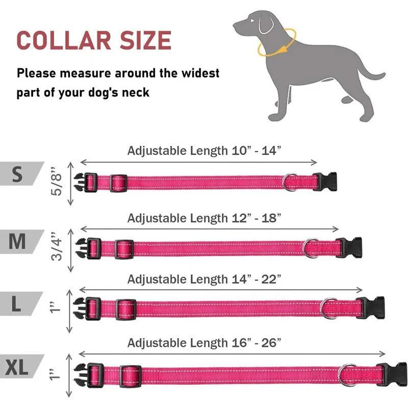 Reflective Nylon Dog Collar | Adjustable Safety Strap for Small and Medium Dogs - Lazy Paper Club
