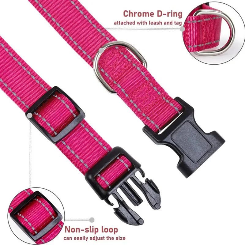Reflective Nylon Dog Collar | Adjustable Safety Strap for Small and Medium Dogs - Lazy Paper Club