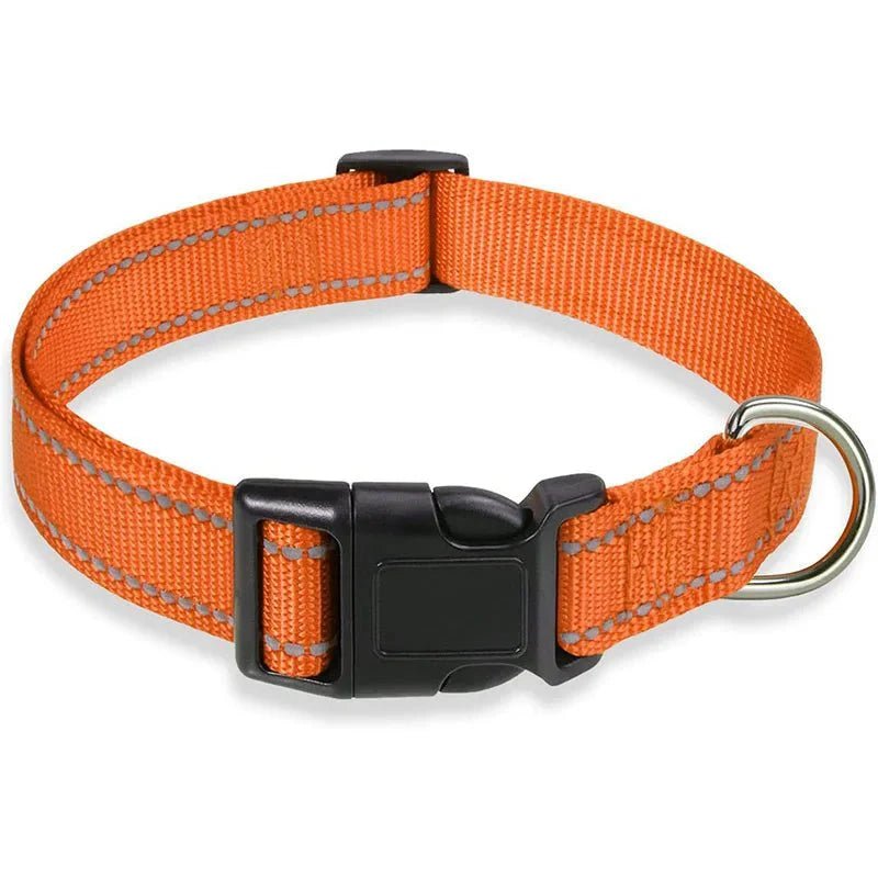 Reflective Nylon Dog Collar | Adjustable Safety Strap for Small and Medium Dogs - Lazy Paper Club