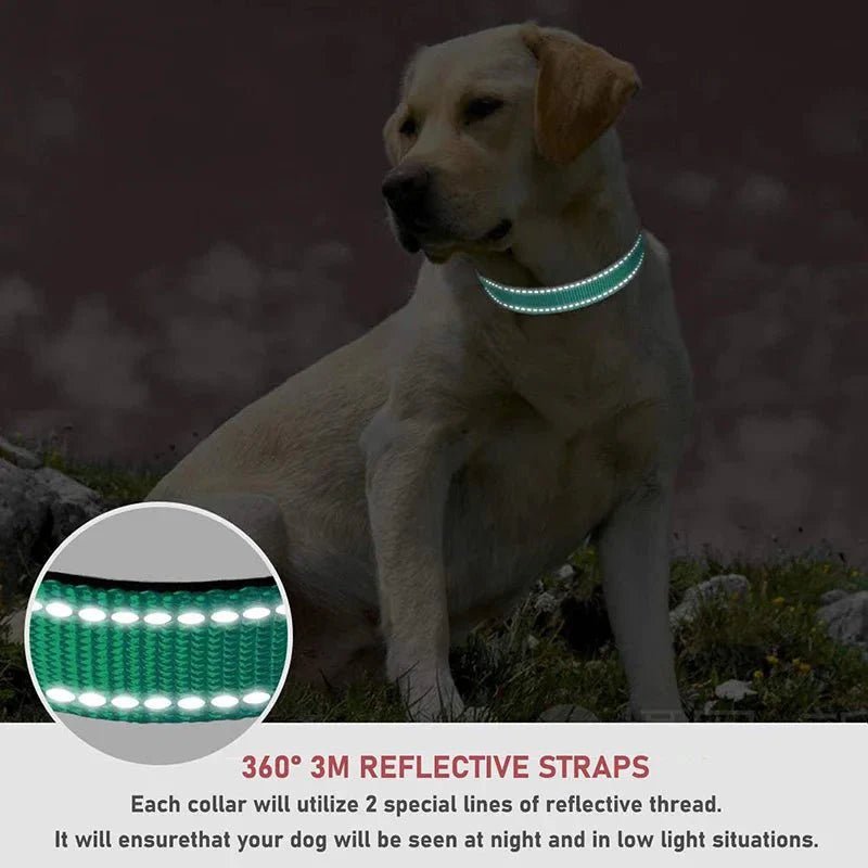 Reflective Nylon Dog Collar | Adjustable Safety Strap for Small and Medium Dogs - Lazy Paper Club