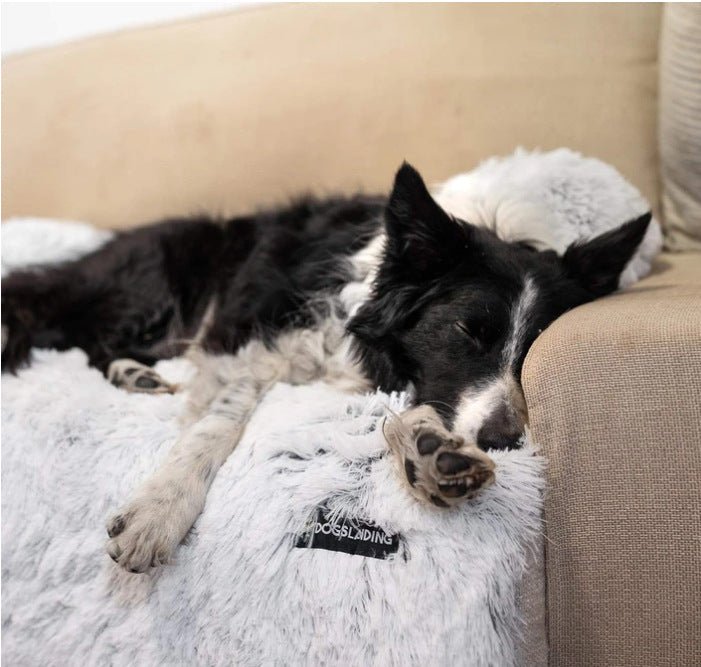 Removable Pet Dog Mat Sofa Dog Bed Soft Pad Blanket Cushion 0 - #Lazy Paper Club#