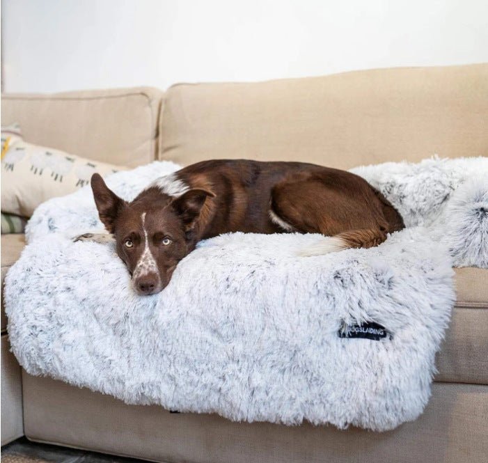 Removable Pet Dog Mat Sofa Dog Bed Soft Pad Blanket Cushion 0 - #Lazy Paper Club#