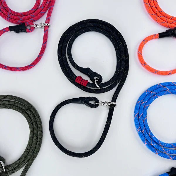 Rescue Pro 6' Leash Leash - Lazy Paper Club
