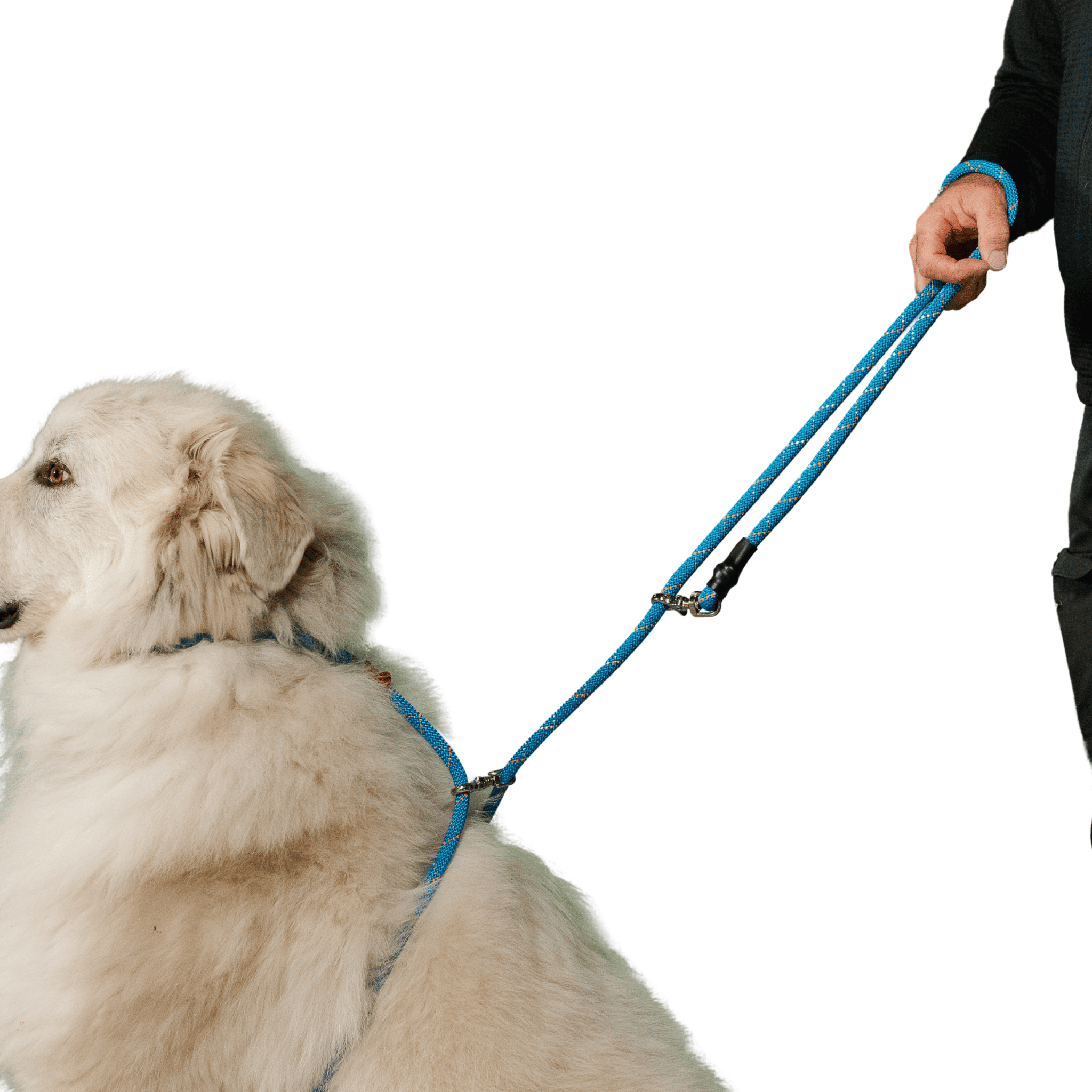 Rescue Pro Harness Leash Leash - Lazy Paper Club