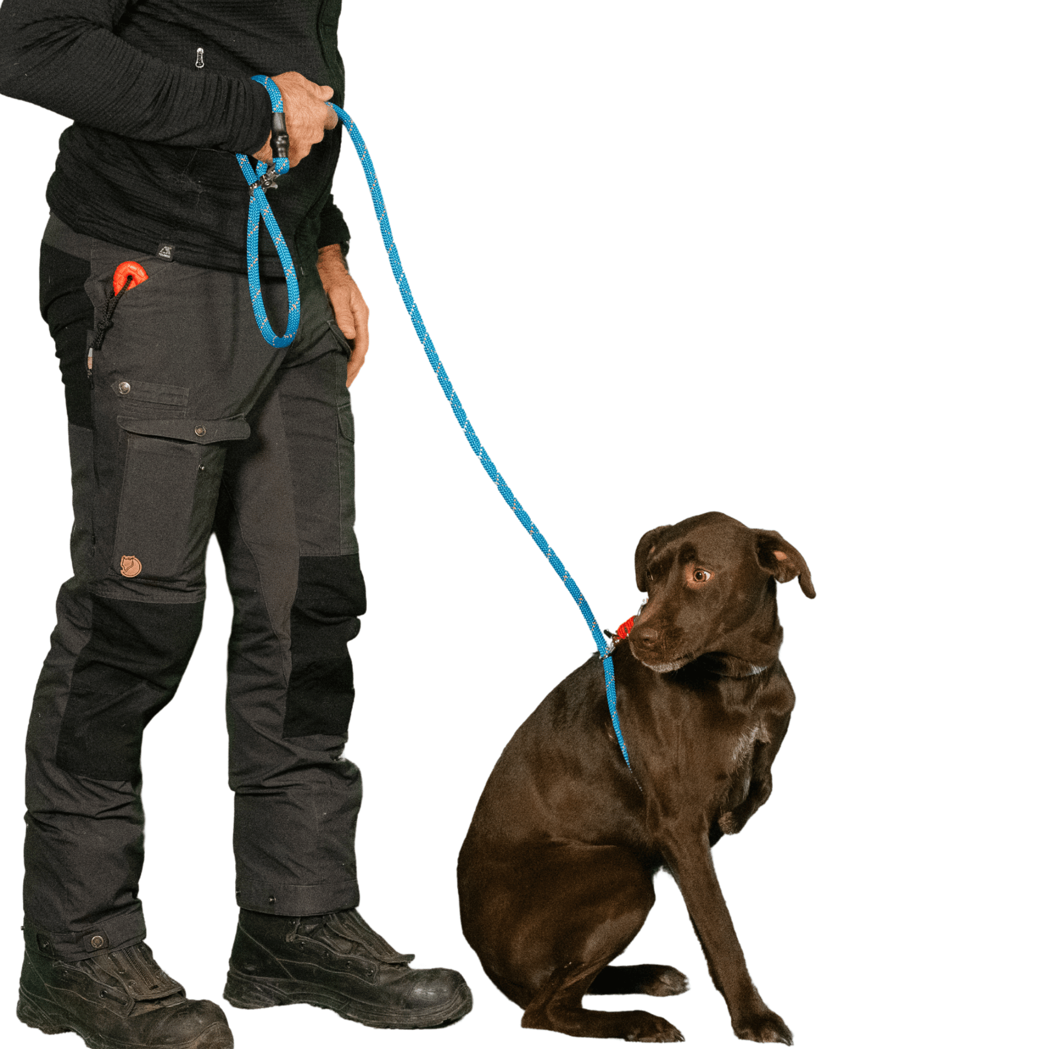 Rescue Pro Harness Leash Leash - Lazy Paper Club