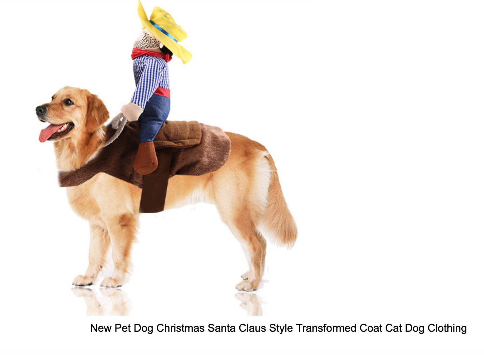 Riding clothes pet clothes 0 - Lazy Paper Club