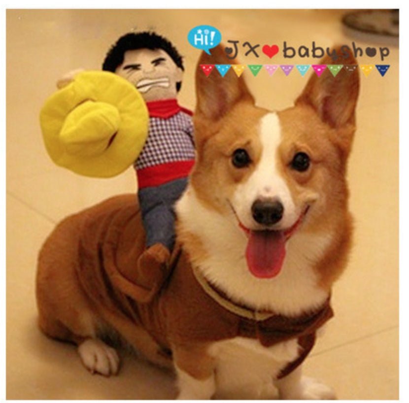 Riding clothes pet clothes 0 - Lazy Paper Club