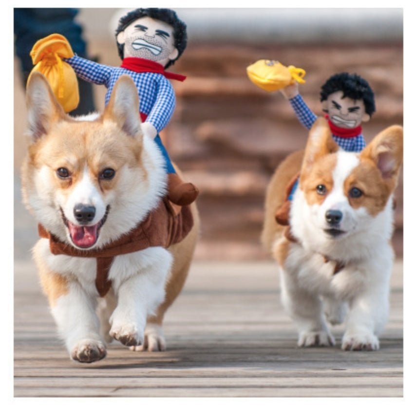 Riding clothes pet clothes 0 - Lazy Paper Club
