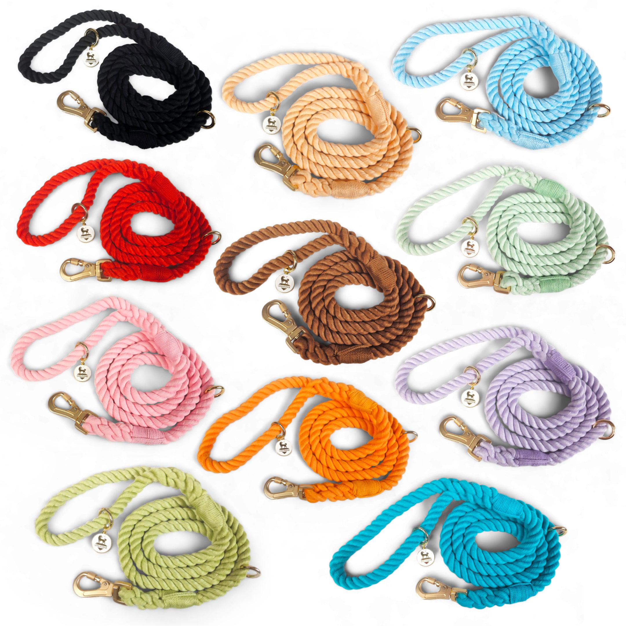 Rope Leash Leashes - Lazy Paper Club