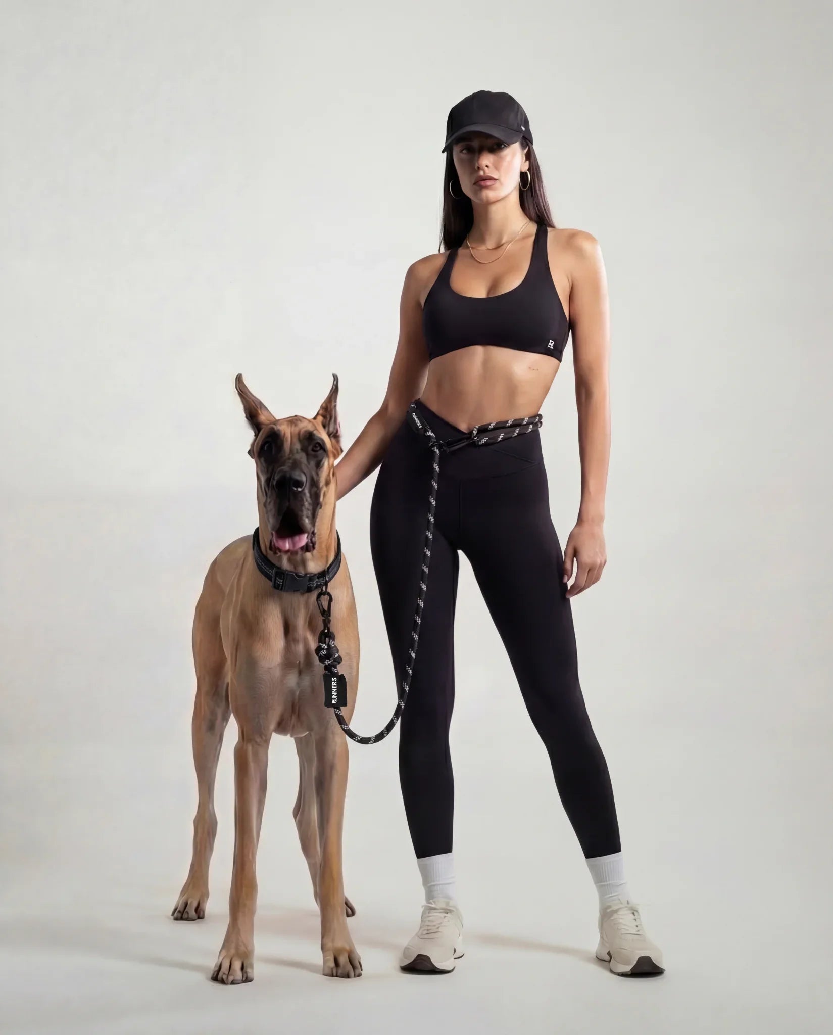 Runners Hands Free Dog Leash Rove Hands Free Leash - Lazy Paper Club