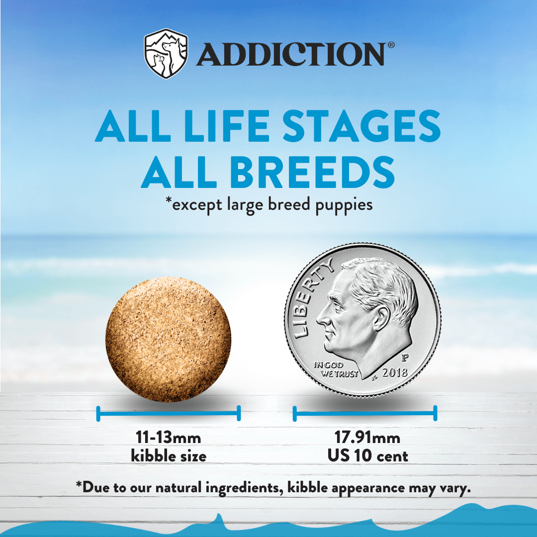 Salmon Bleu Dry Dog Food Salmon Dry Dog Food - Lazy Paper Club