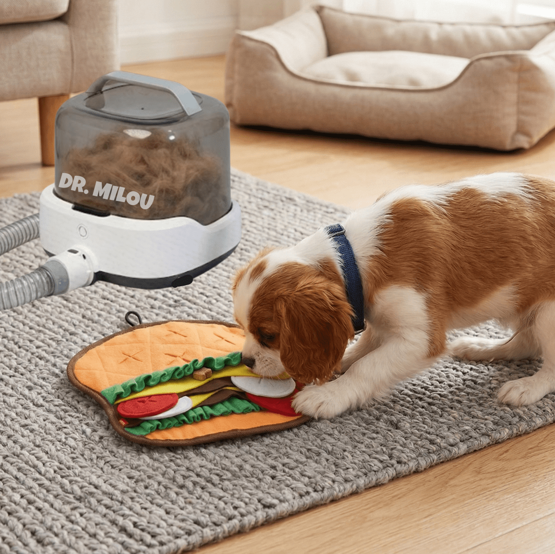 Salon Results at Home, Mess-Free | CalmCare™ Cordless Vacuum Grooming Kit by Dr. Milou - Lazy Paper Club