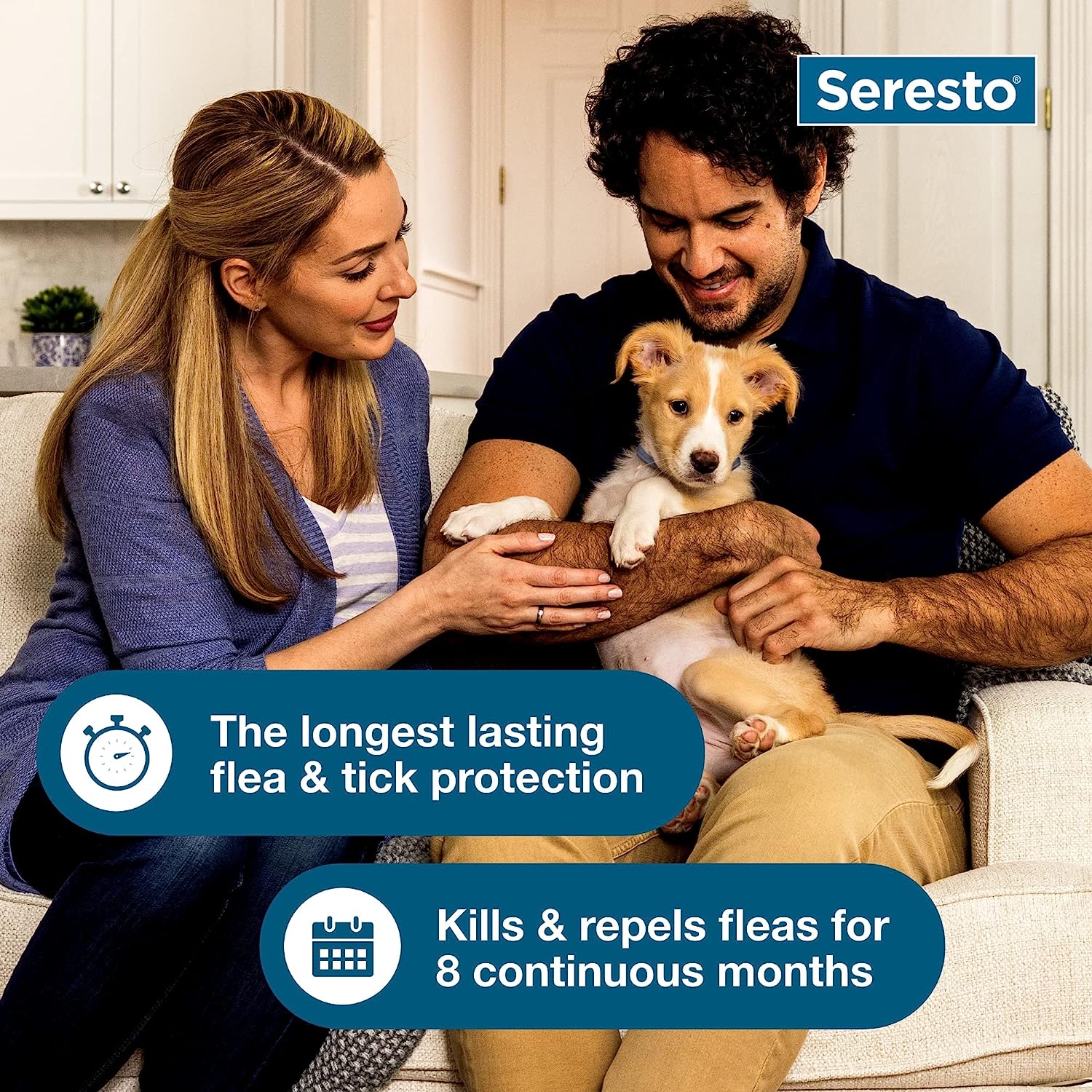 Seresto Flea & Tick Dog Collars Animal Health & Wellness > Flea & Tick Control - Lazy Paper Club