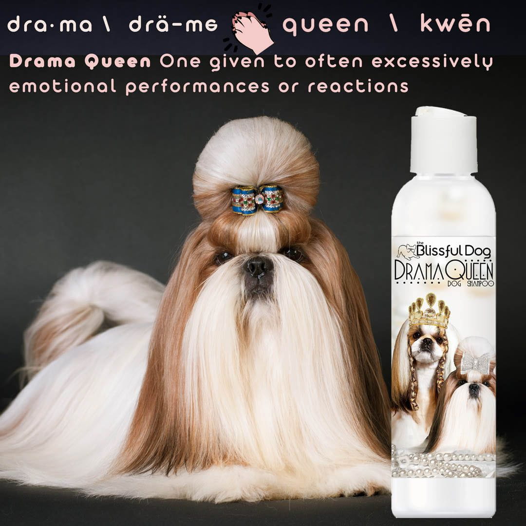Shih Tzu Rich Bitch & Drama Queen Shampoo SHAMPOO - Lazy Paper Club