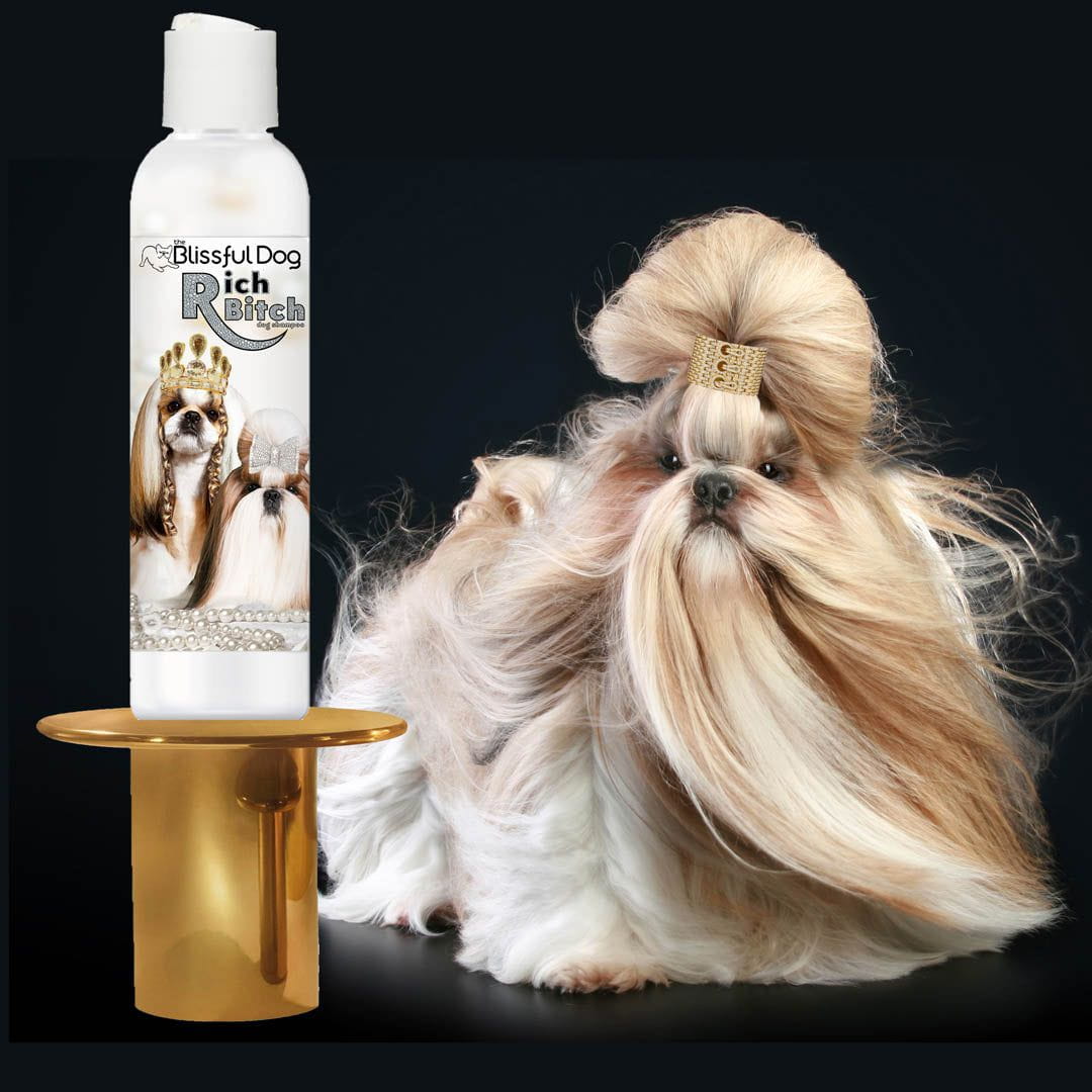 Shih Tzu Rich Bitch & Drama Queen Shampoo SHAMPOO - Lazy Paper Club