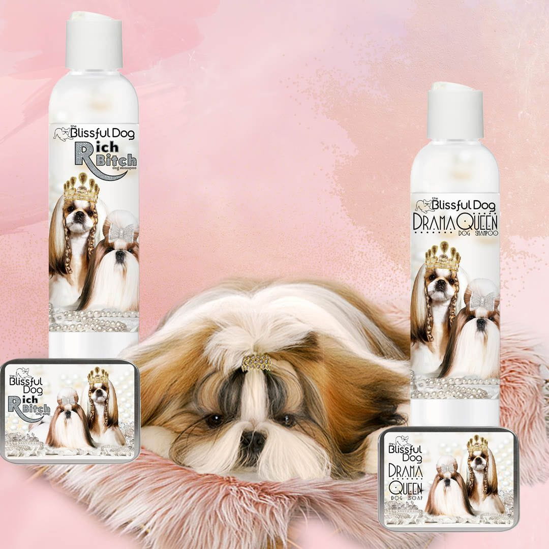 Shih Tzu Rich Bitch & Drama Queen Shampoo SHAMPOO - Lazy Paper Club