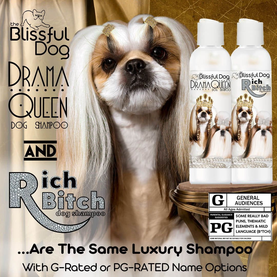 Shih Tzu Rich Bitch & Drama Queen Shampoo SHAMPOO - Lazy Paper Club