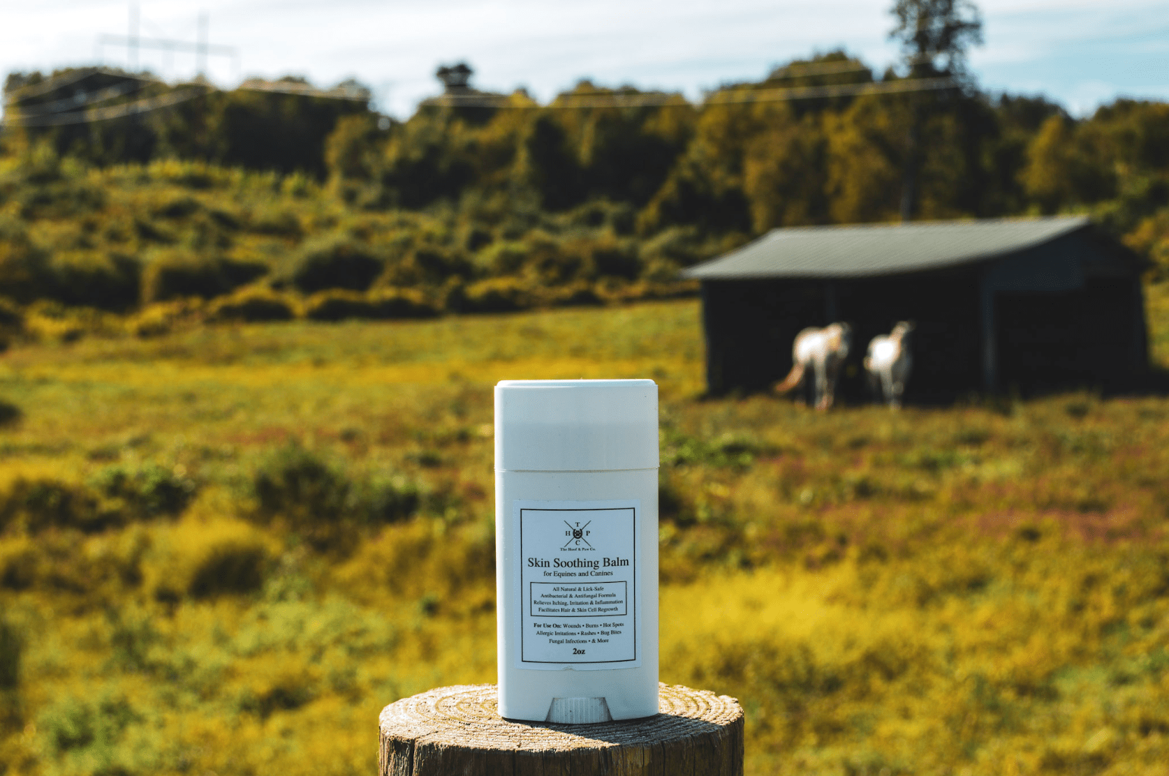 Skin Soothing Balm for Dogs & Horses - 2oz - Lazy Paper Club
