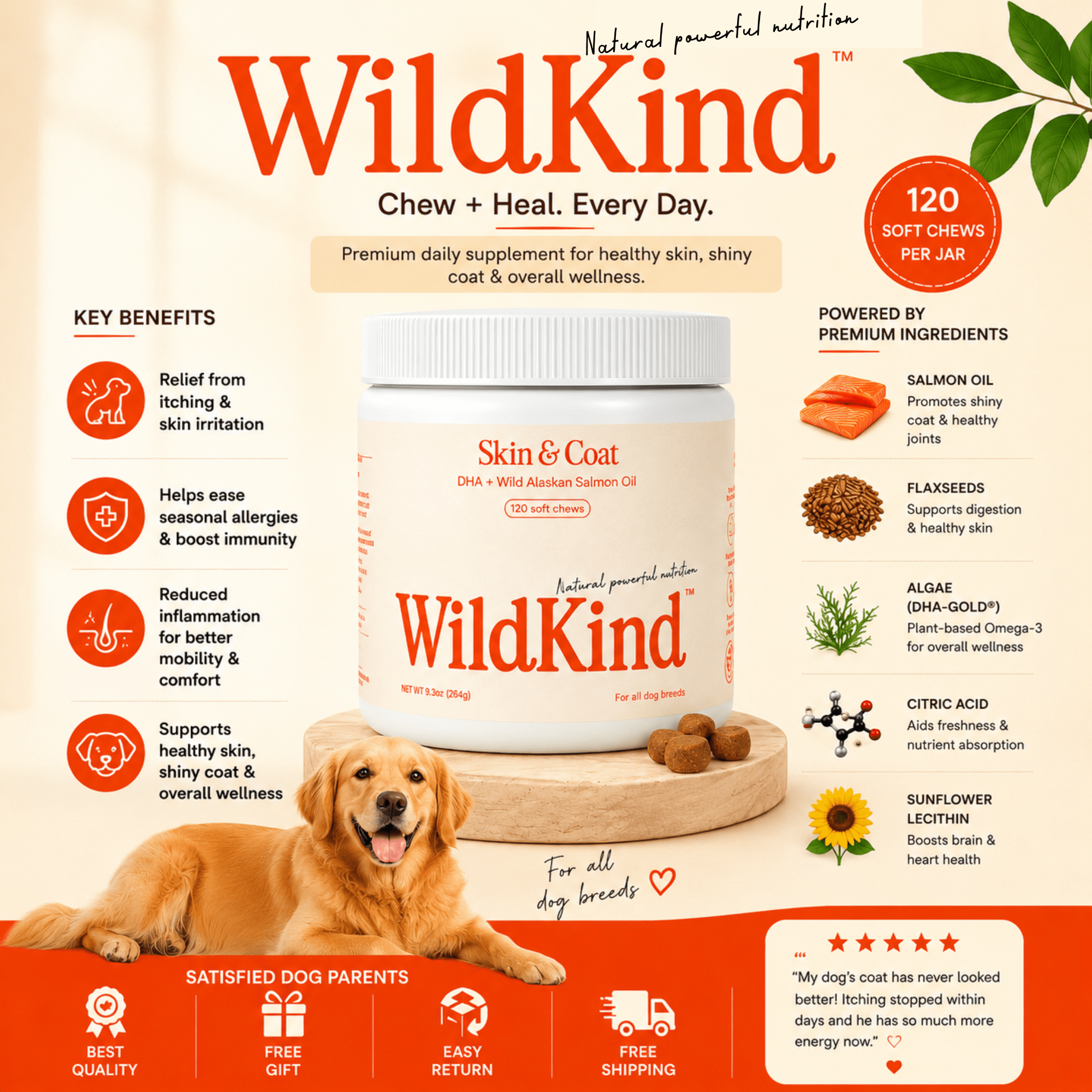 Soft Chew Dog Supplements Soft Chew - Lazy Paper Club