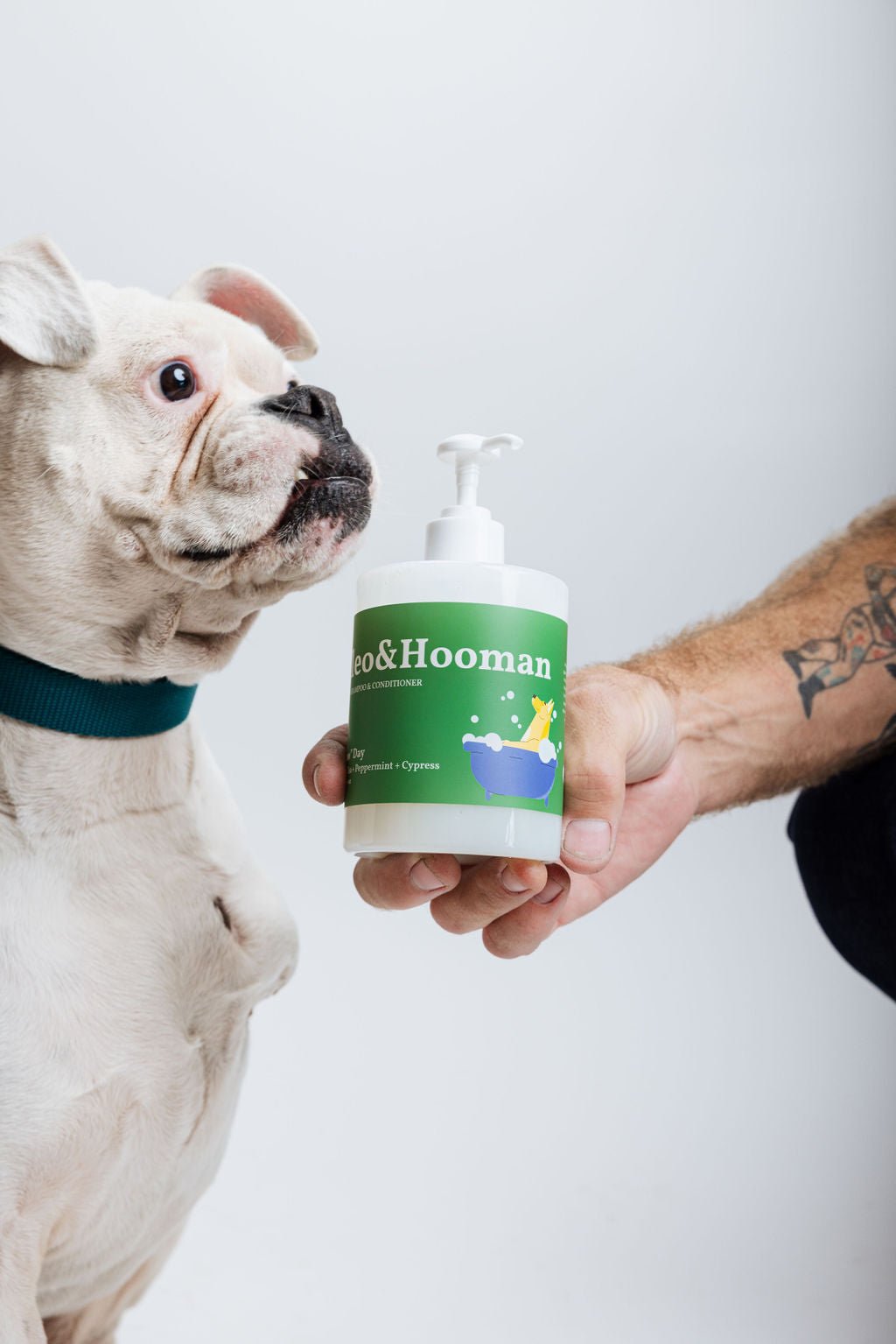 "Spaw" Day (Dog Shampoo & Conditioner Duo) Pet Shampoo & Conditioner - Lazy Paper Club